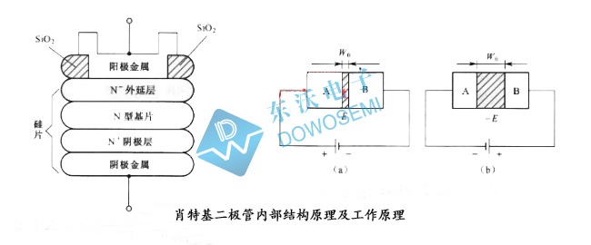 肖特基二极管工作原理东沃.jpg